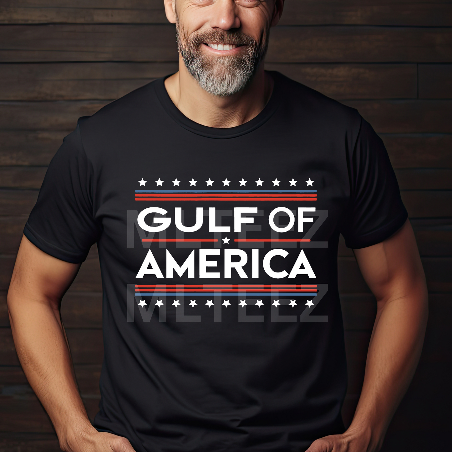 The Gulf Of America (2) DTF Direct To Film