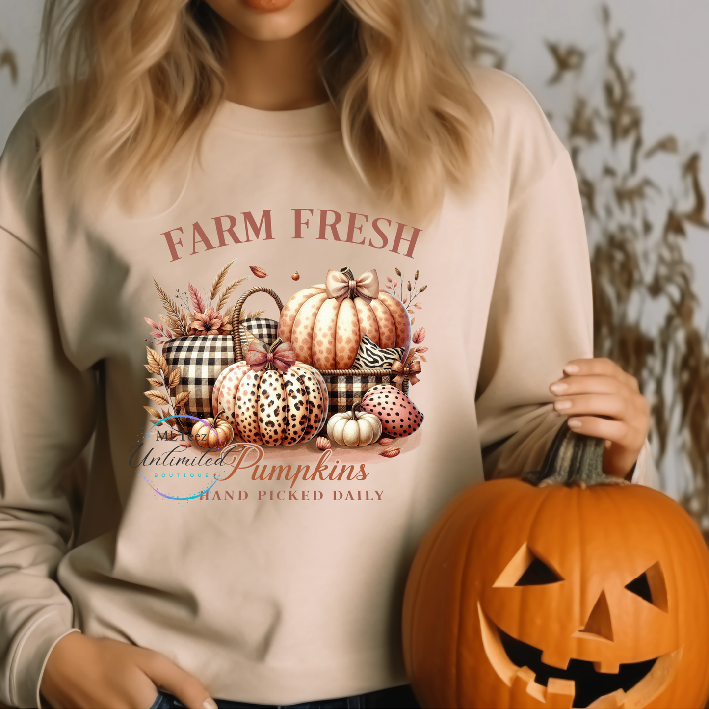 Farm Fresh Pumpkins, Hand Picked Daily DTF Direct To Film