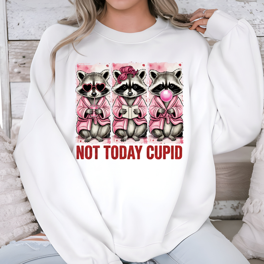 Not Today Cupid (2) DTF Direct to Film