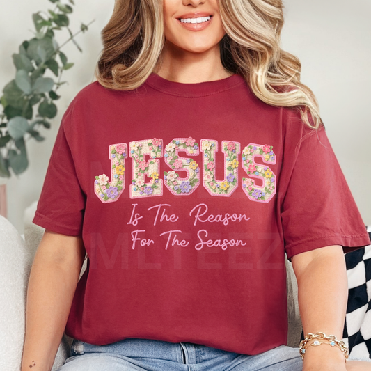Jesus Is The Reason For The Season (2) DTF Direct to Film