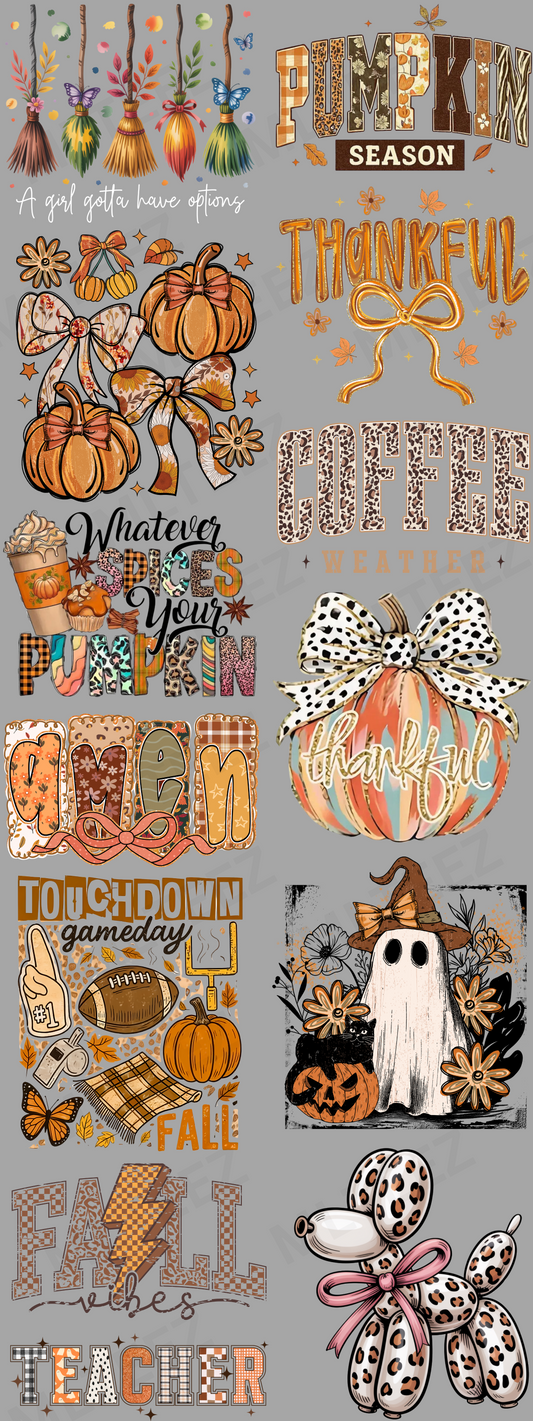 A GIRL GOTTA HAVE OPTIONS (FALL) PREMADE GANGSHEET  - 22X60  DTF TRANSFERS - DIRECT TO FILM