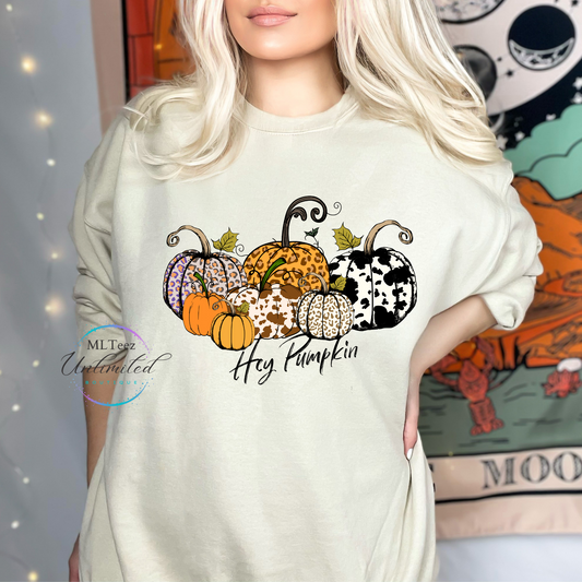 Fall Hey Pumpkin DTF Direct To Film